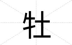 牡