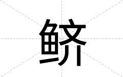 鲚