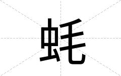 蚝