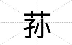 荪
