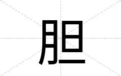 胆