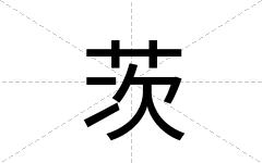 茨