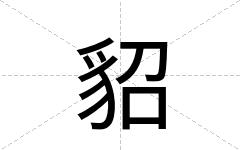 貂