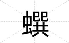 蟤