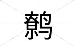 鹩