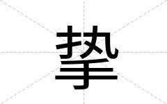 挚