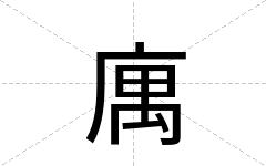 庽