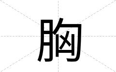 胸