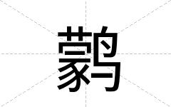鹲