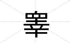 睾