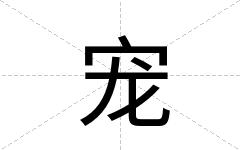 宠