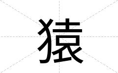 猿