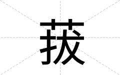 菝