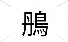 鴅
