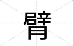 臂