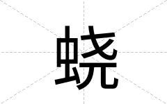 蛲