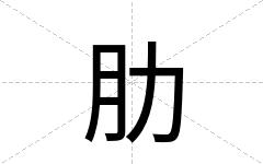 肋
