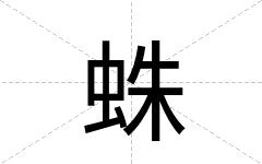 蛛