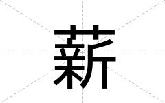 薪