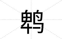 鹎