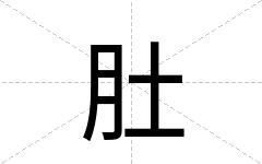 肚