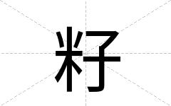 籽