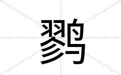 鹨