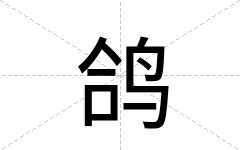 鸽