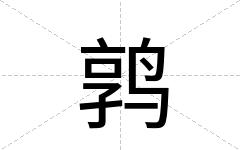 鹑
