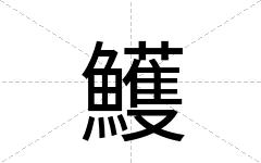鱯
