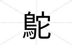 鴕