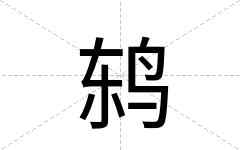 鸫