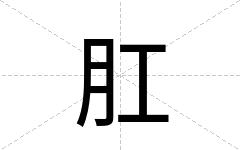 肛