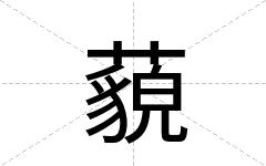 藐
