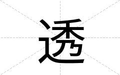 透