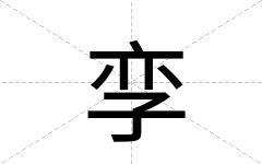孪