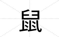 鼠