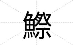 鰶