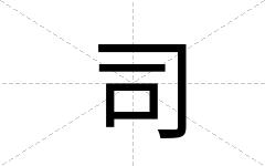 司