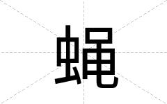 蝇