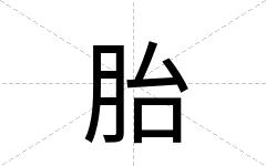胎