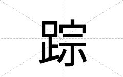 踪