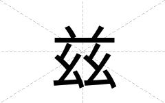 兹