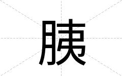 胰