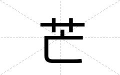 芒