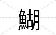 鰗