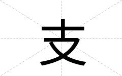 支