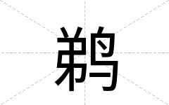 鹈