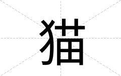 猫