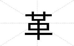 革